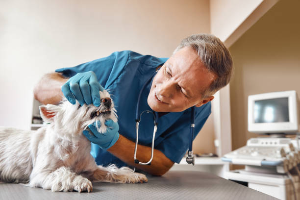Best Emergency Treatment for Dental Infections or Abscesses in Beechwood, MS